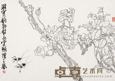 陈子奋 白描花卉图 41×29cm