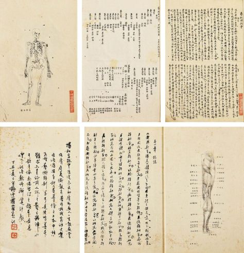 潘和 《艺术解剖学》手稿 纸本