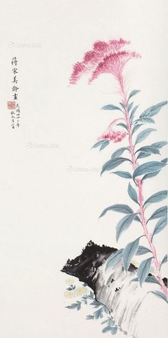 宋美龄 花卉