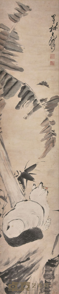 王维瀚 猫趣图 136×27cm 约3.3平尺