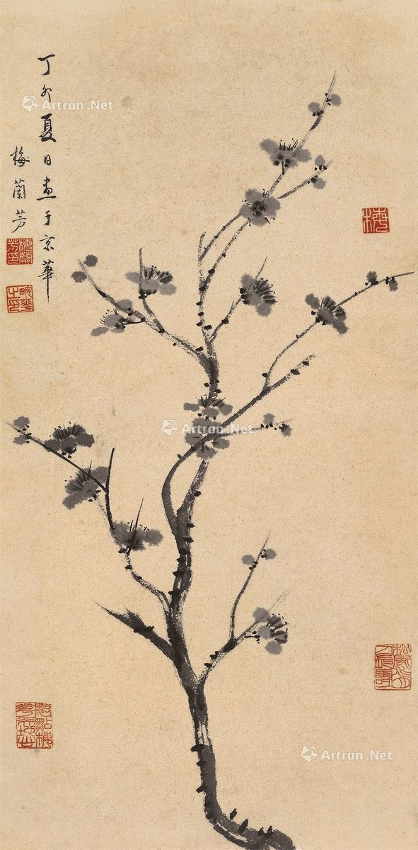 梅兰芳 数点梅花天地心 64.3×31.5cm
