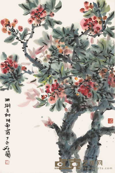 石兰 珊瑚玉树 68×42cm