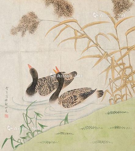 陈之佛 芦苇鸭趣