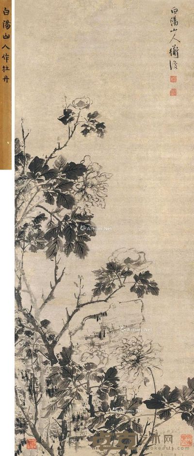 陈淳 白牡丹 117×47.5cm