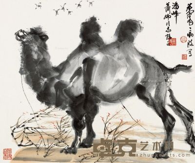 黄胄 骆驼 64×76cm