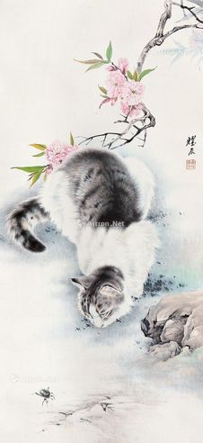 刘奎玲 猫