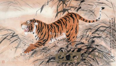 赵少昂 虎 130×63cm