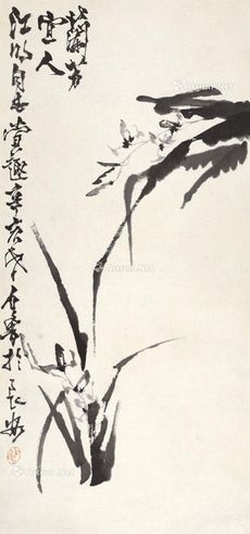 石鲁 兰花