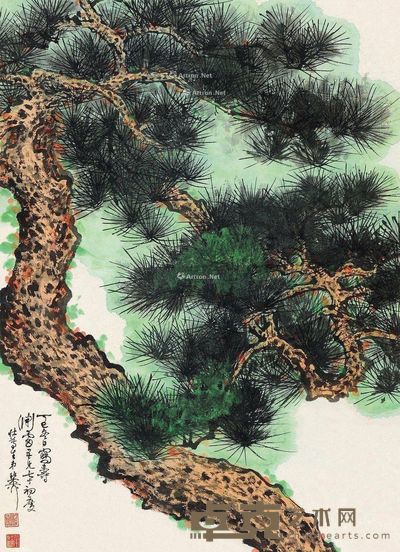 谢稚柳 青松图 74×53cm