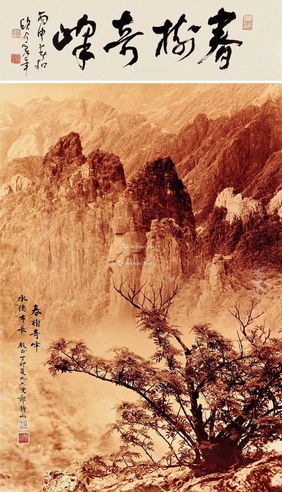 郎静山 春树奇峰图