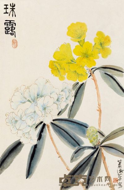 萧淑芳 珠露 69×45.5cm