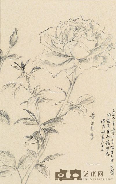 陶冷月 1976年作 月季 镜框 纸本 24×15.5cm