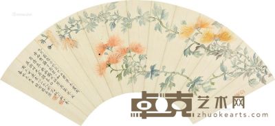 张若澄 秋菊 17.5×52.5cm