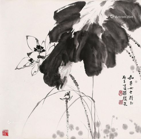 刘继瑛 荷花