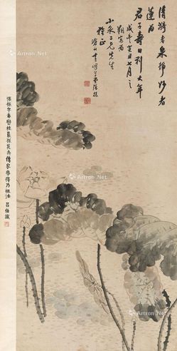 张振 荷花