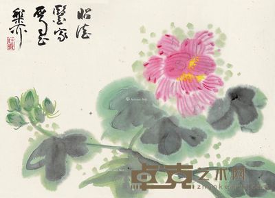 谢稚柳 花卉 24×35cm