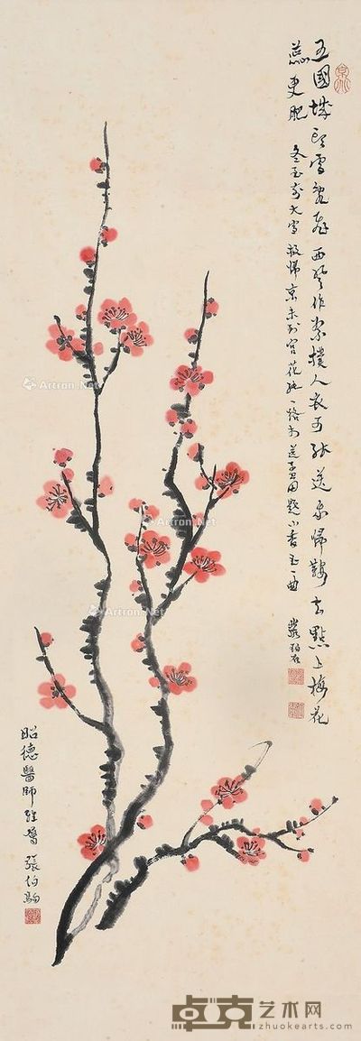 张伯驹 红梅 100×34cm