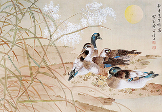 陈之佛 水鸭