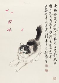 孙菊生 猫