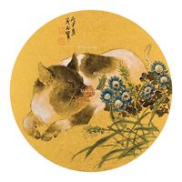 王茂飞 猪