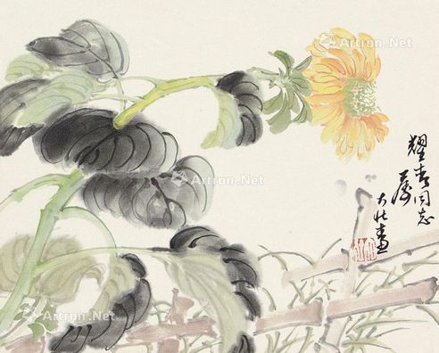 张大壮 花卉