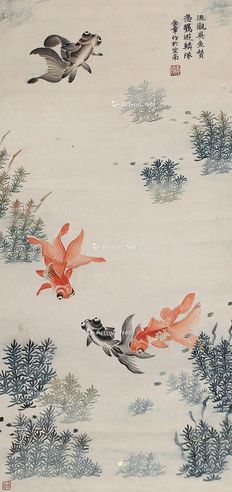 金章 金鱼