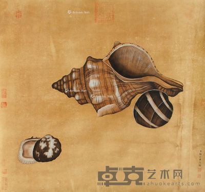 郎世宁  海螺图 82×89cm