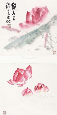 张大壮 试色荷花双挖