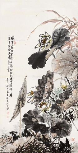王鹤 荷花