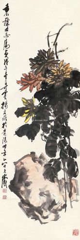 杨应修 菊石图