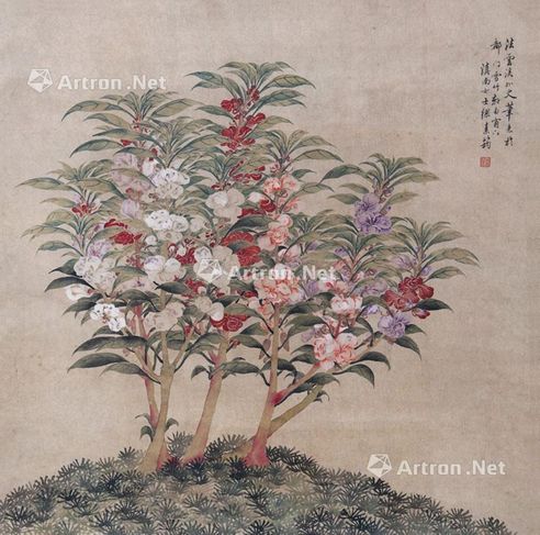 缪嘉惠 花卉