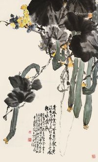 于希宁 丝瓜