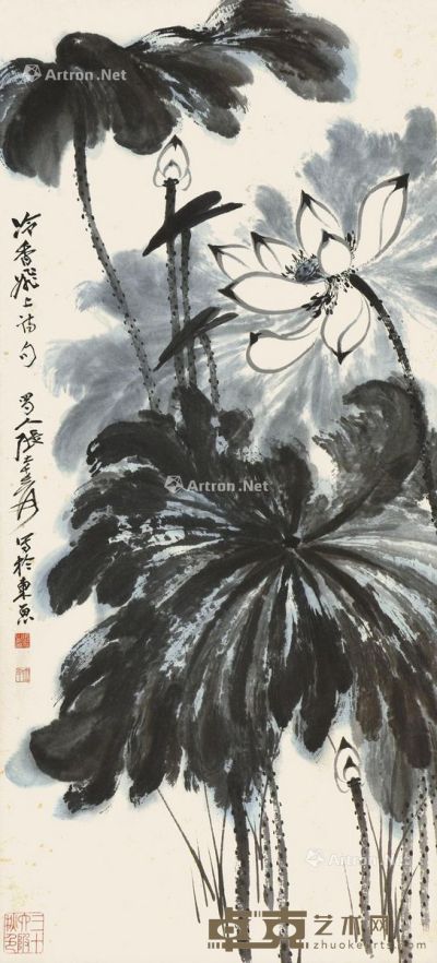 张大千 白荷 96×46cm