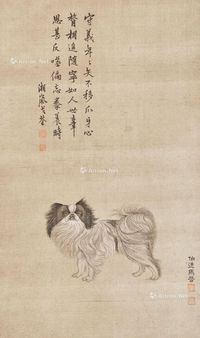 马晋 长毛犬