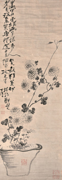 郑板桥 菊花