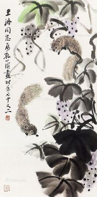 孔小瑜 松鼠