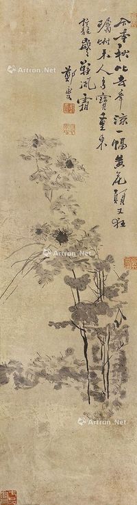 郑板桥 菊花