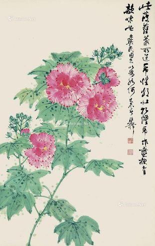 谢稚柳 芙蓉花