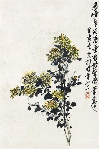 刘既明 菊花