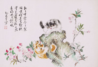 孙菊生 小猫