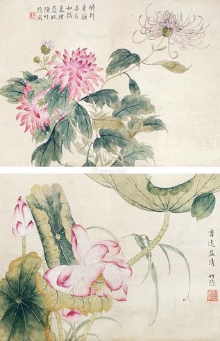 陈竹隐 花卉