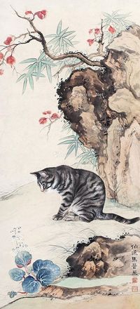 马晋 猫