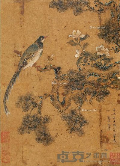 马荃(款) 茶花小鸟 27×20cm