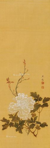 王鹤 牡丹