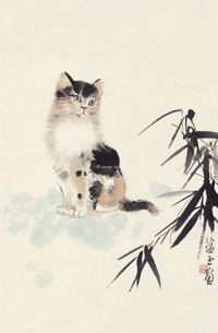 赵蕴玉 猫