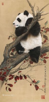 王申勇 熊猫