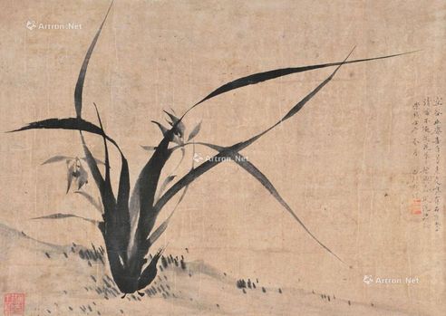 寇湄 兰花