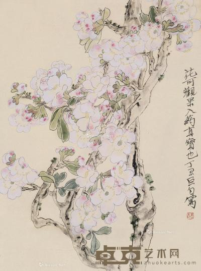 罗巨白 花卉 33×44cm