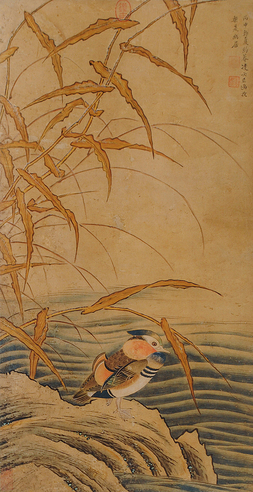 花鸟