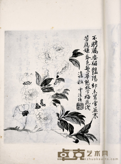恽南田花卉册等二种 尺寸不等